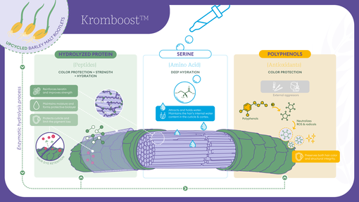 Infografía--Kroomboost