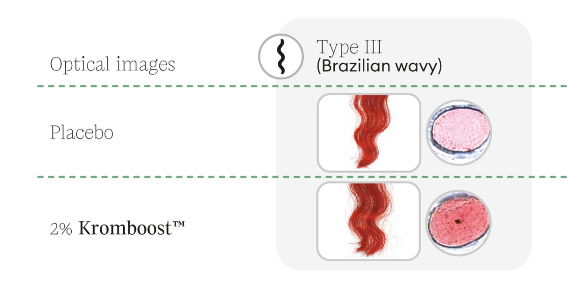 optical-hairtypeIII